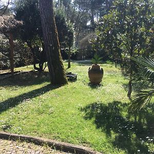 Studio Appartement